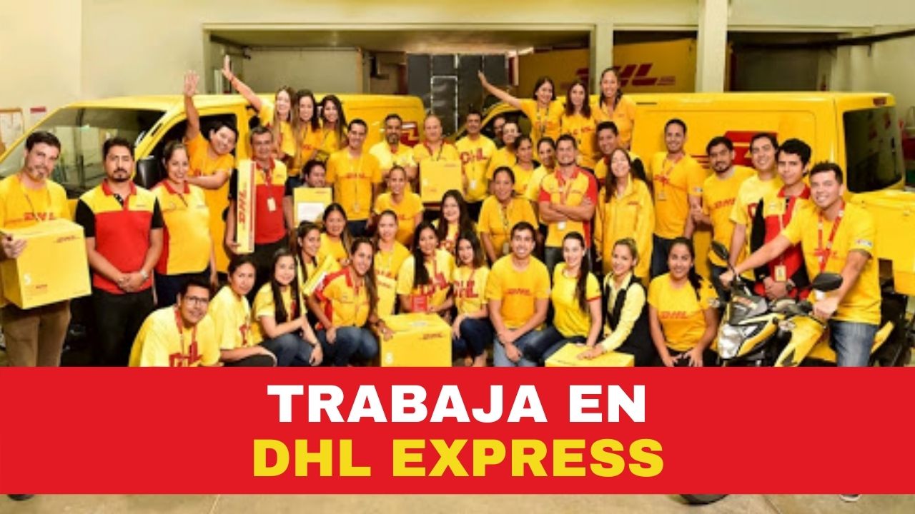 Dhl Express Guía Para Aplicar A Vacantes De Empleo Conmicelu 8788