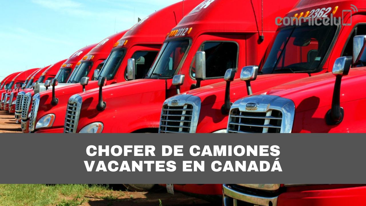 Trabajo de camionero en Canadá para Latinoamericanos Uno de los más